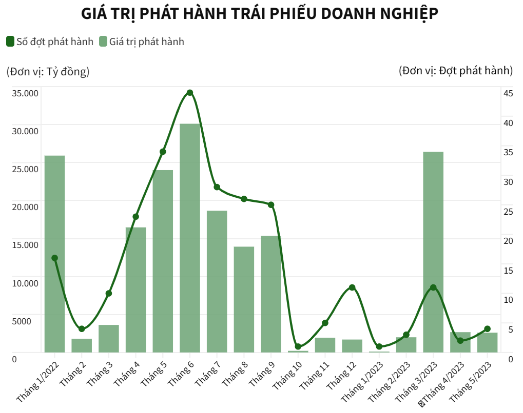 Chỉ một doanh nghiệp phát hành trái phiếu trong tháng 5