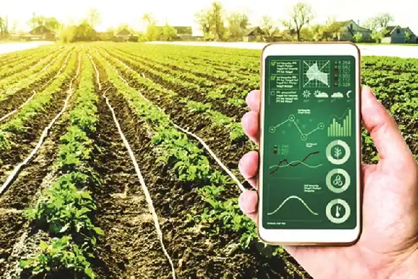 Nông nghiệp công nghệ cao: Động lực mới cho hệ sinh thái khởi nghiệp đổi mới sáng tạo Ninh Bình